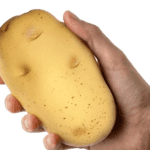 emotional support potato stress toy