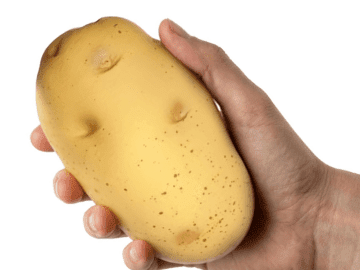 emotional support potato stress toy