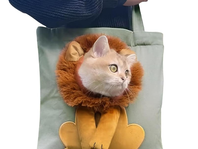 funny cat travel bag