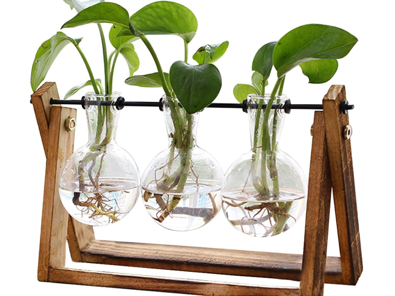 Wooden Air Terrarium